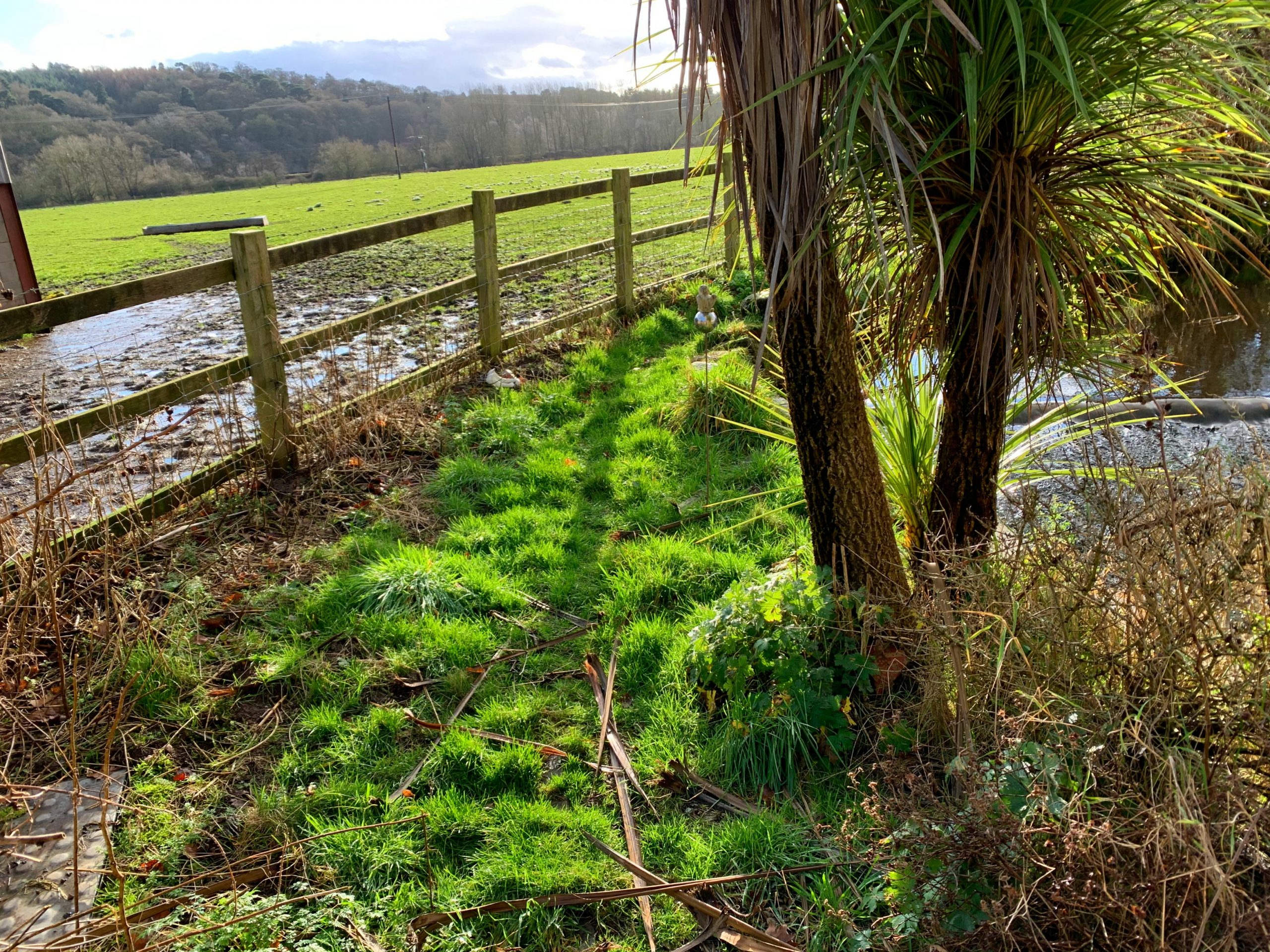 weir through second garden