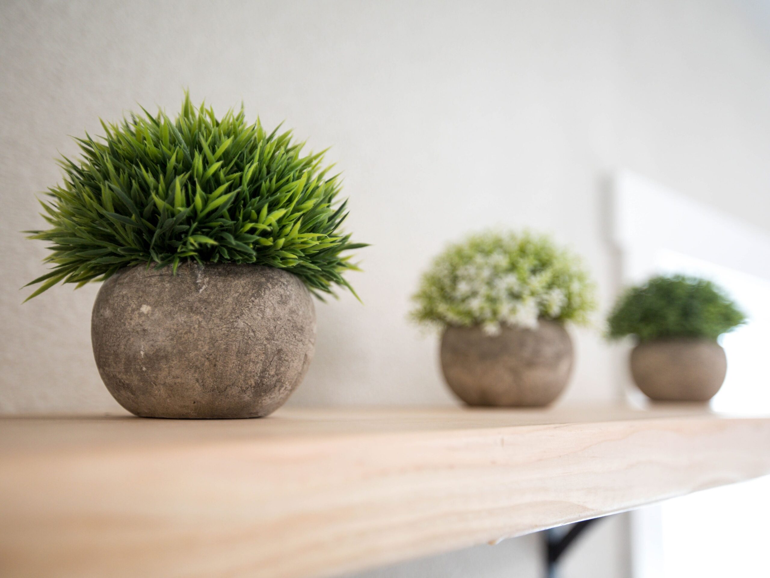 Artificial plants on a shelf